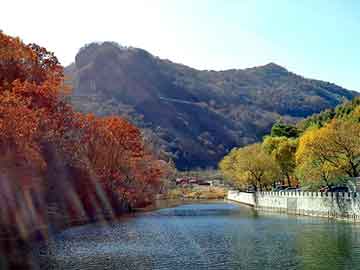 新澳天天开奖资料大全旅游团，恒温器价格